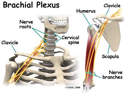 BSR & Complaints of the Arms, Neck and Shoulders